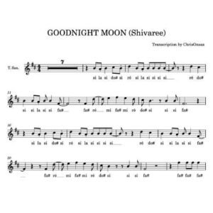 godnight moon partition