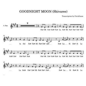 godnight moon partition