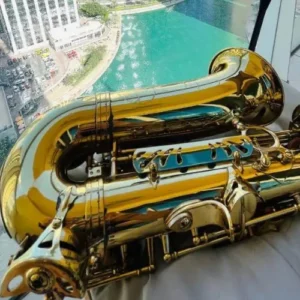 desert-rooftop-elixir-saxophone